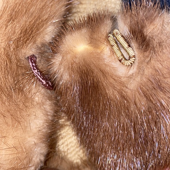 Rothmoore Beauty - Picture 8 of 16